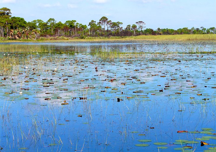 Port St. Lucie & Fort Pierce, Florida: Beaches, nature and recreation.