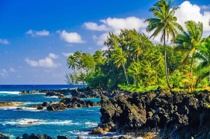 Palm trees and picturesque coastline on the Road to Hana, Maui