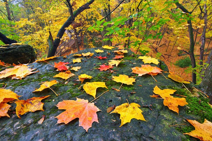 Beautiful autumn colors at Rock Cut State Park