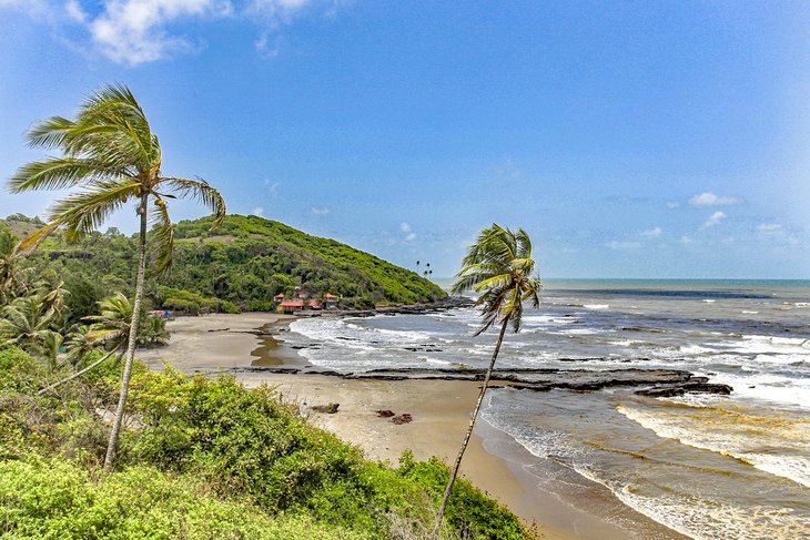 Discover the 10 Best Beaches in Goa for a Sun-soaked Escape - Water Sports at Vagator Beach