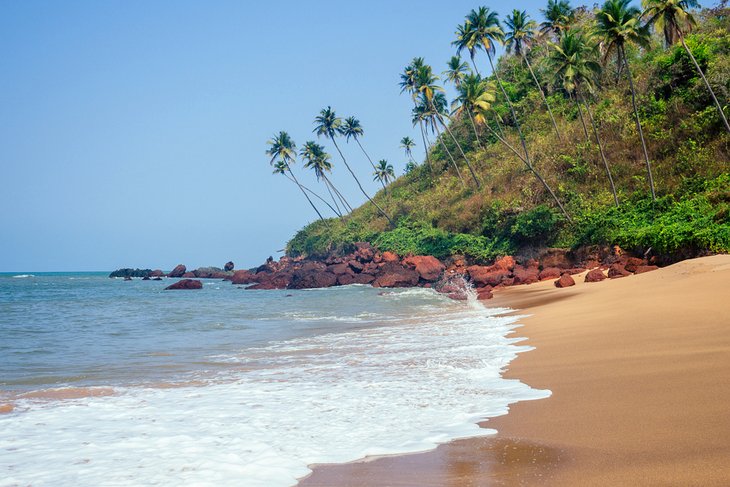 Palms on Colva Beach