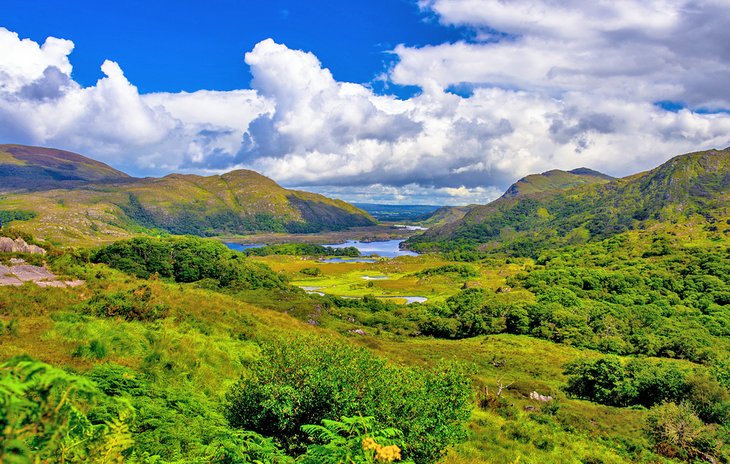 Killarney National Park