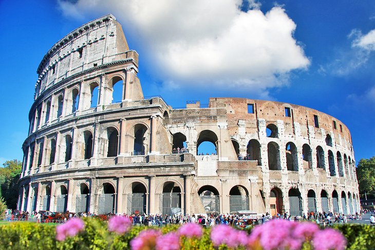 Colosseum in Rome with spring flowers