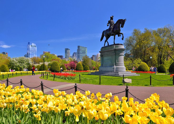 Spring blooms in the Boston Public Garden