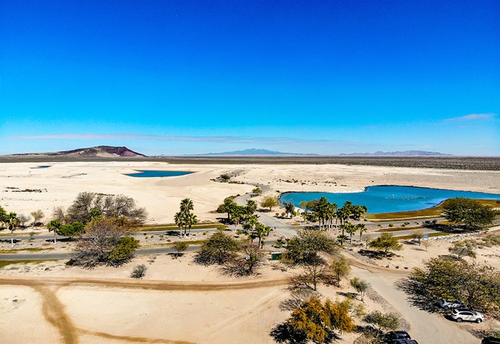 View towards the Pinacate Reserve