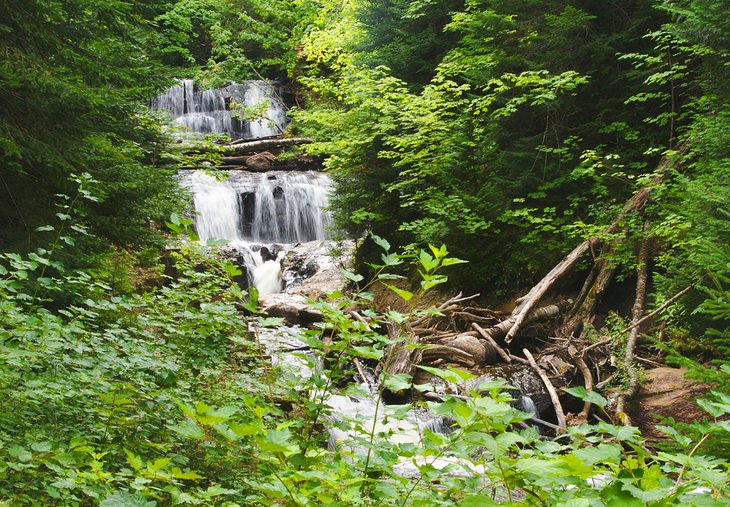 Waterfalls in Voyageurs National Park