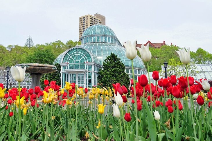 Brooklyn Botanic Garden