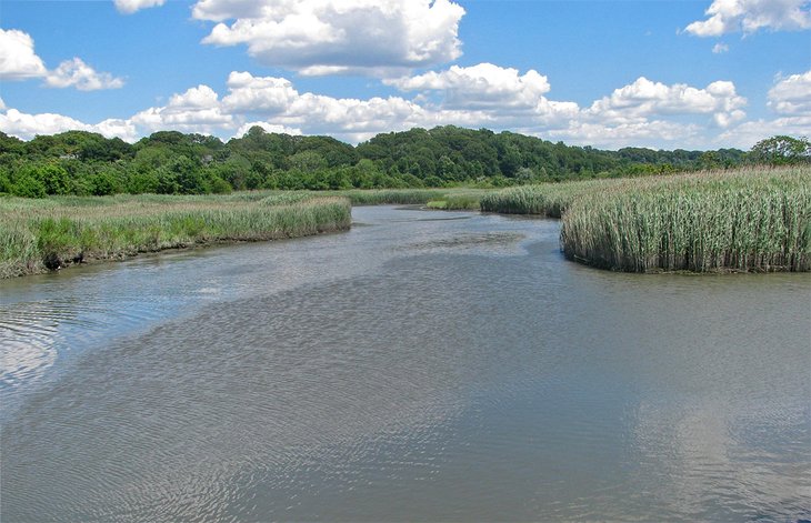 Alley Pond Park