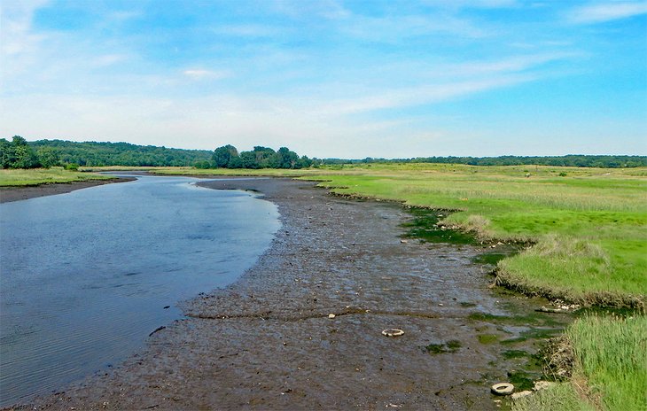 Freshkills Park