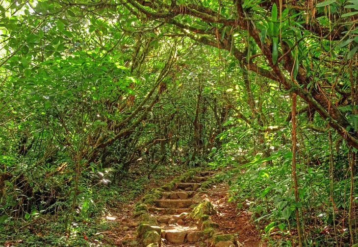 Mombacho Volcano Nature Preserve