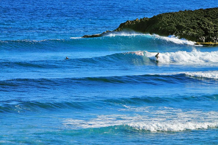 Surfing in Puerto Rico