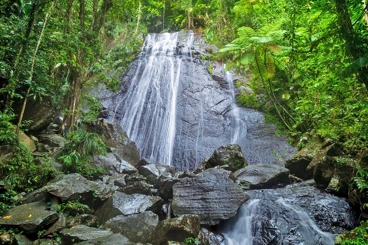 La Coca Falls, El Yunque National Forest