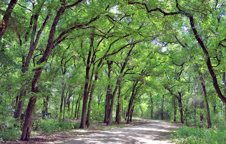 Trail at Mayfield Park