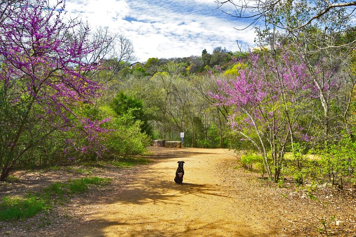 Southern Walnut Creek Trailhead