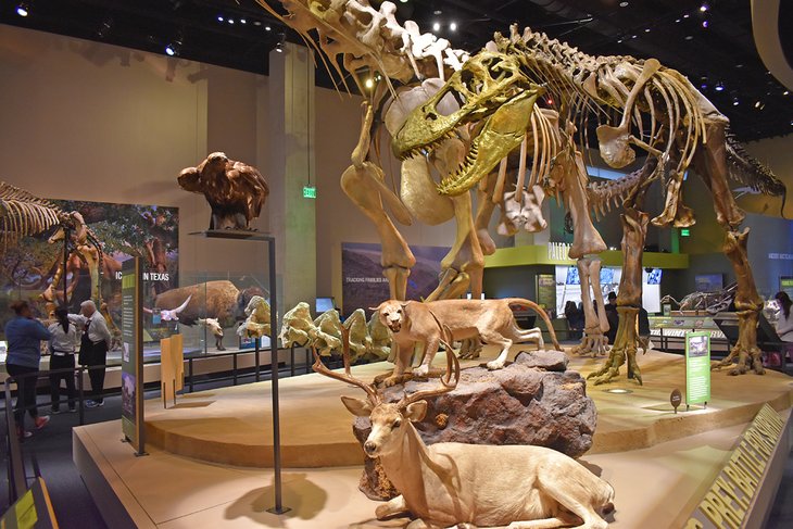 Perot Museum of Nature and Science