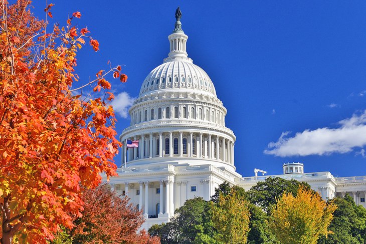 Autumn colors at the Capitol Building in Washington, D.C.