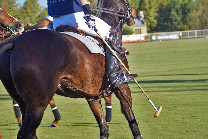 Polo in Argentina