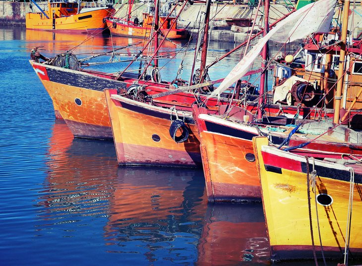Colorful fishing boats in the port of Mar Del Plata