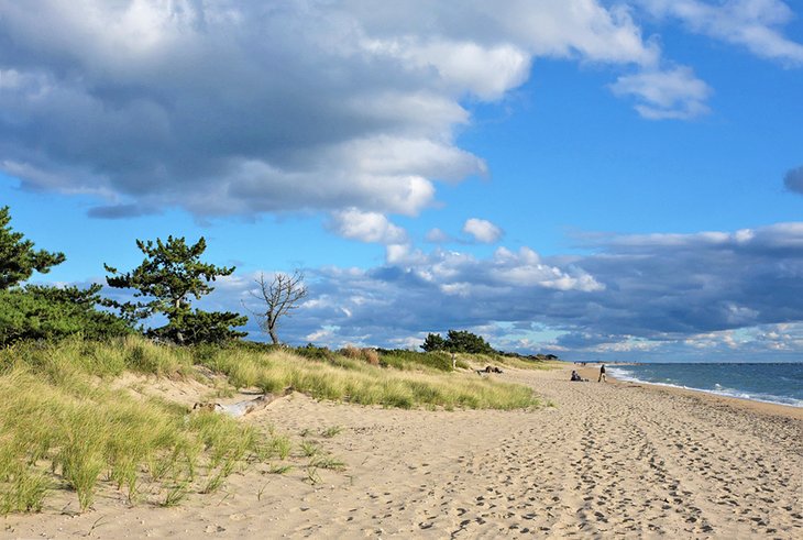 Hammonasset Beach State Park