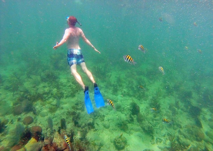 Snorkeler in Varadero