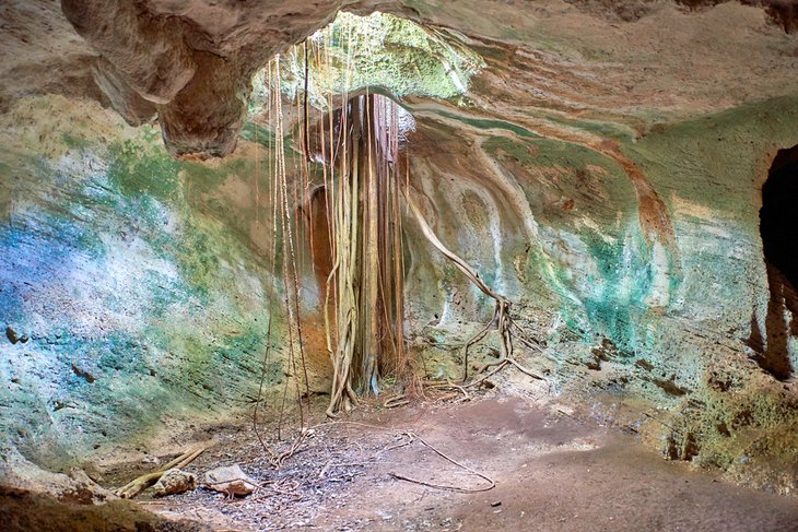 Grotte Ambrosia dans le parc écologique de Varadero