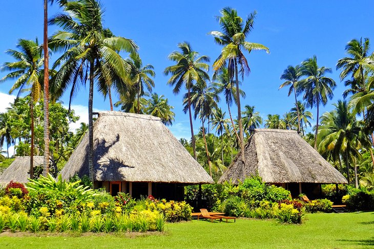 Bures, traditional Fijian homes on Vanua Levu