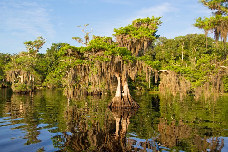 14 mejores lagos en Florida