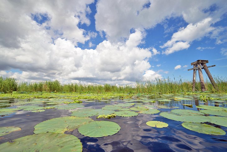 14 mejores lagos en Florida