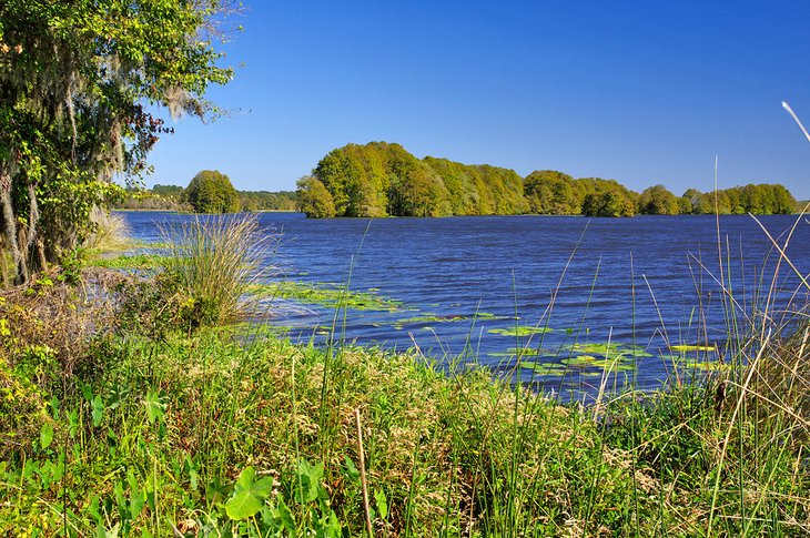 Lake Talquin State Park