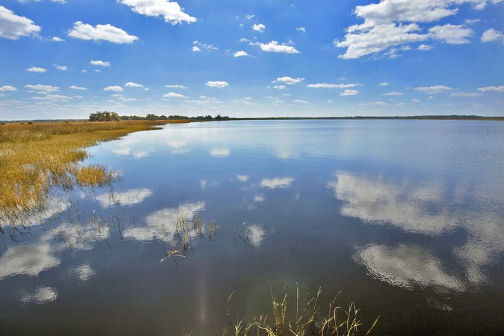 Lake Tohopekaliga