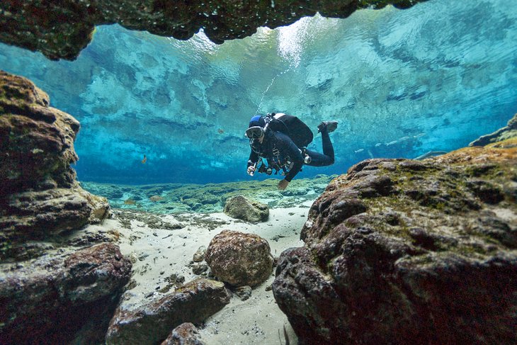 Diver in Ginnie Springs