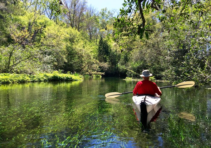 Kayaker enjoying Ichetucknee Springs