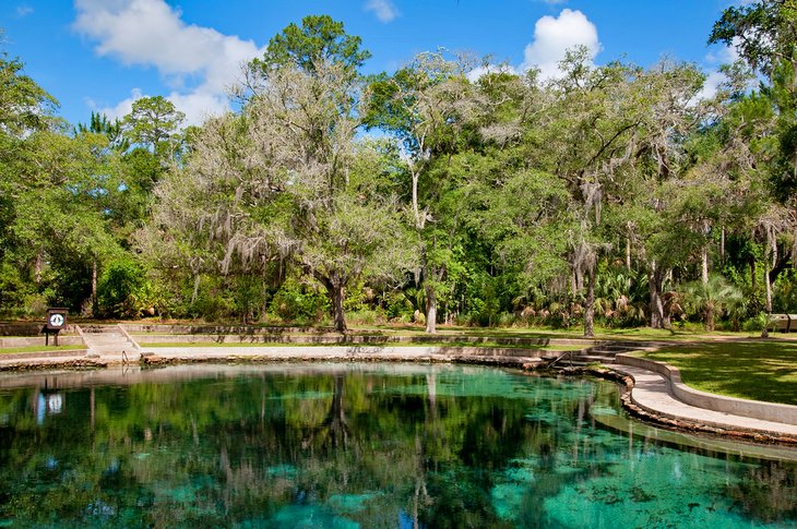 14 mejores manantiales en Florida