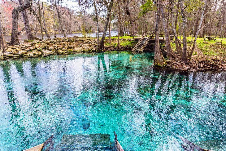 Madison Blue Spring State Park