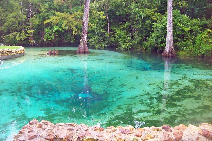 18 Best Springs in Florida