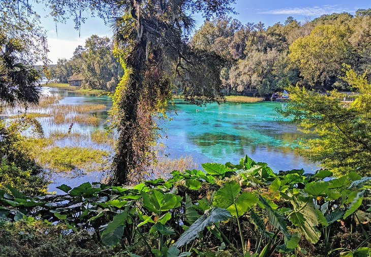 Colorful Rainbow Springs