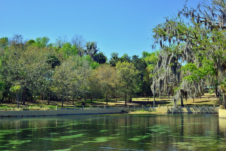 14 mejores manantiales en Florida