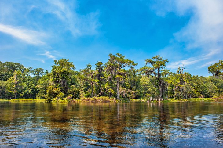 Wakulla Springs