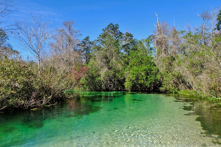 Weeki Wachee Springs