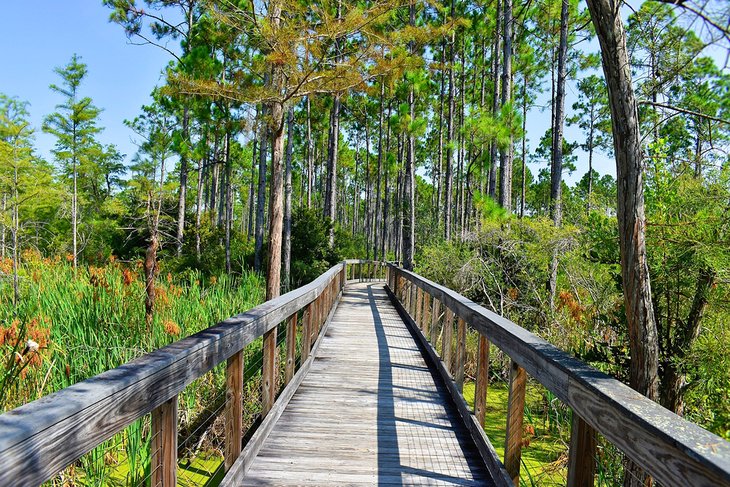 12 atracciones turísticas mejor valoradas en Panama City Beach, FL