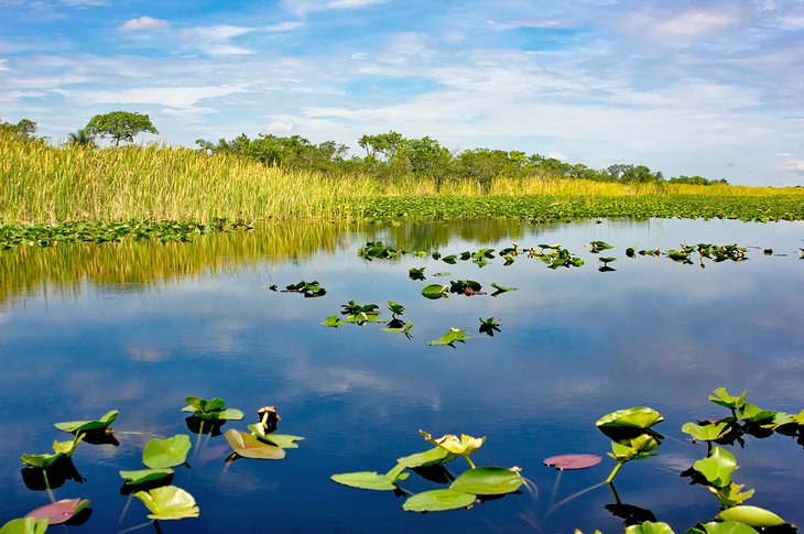 Everglades National Park