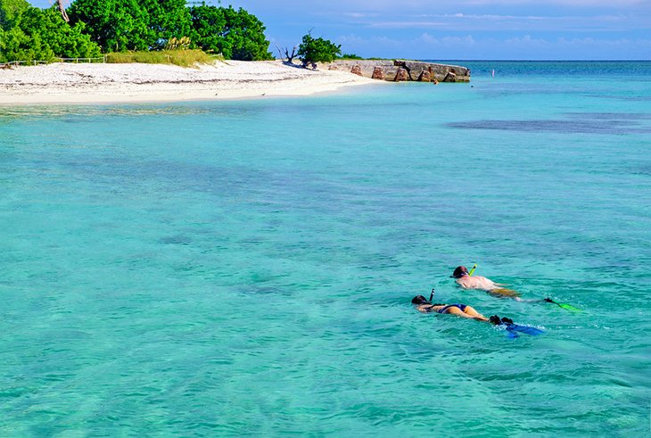 Snorkelers exploring the waters in Dry Tortugas National Park