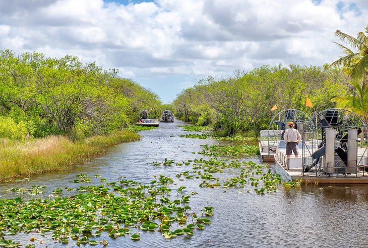 Airboat tours in Everglades National Park