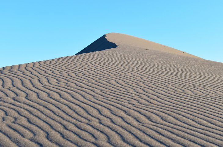 Bruneau Dunes