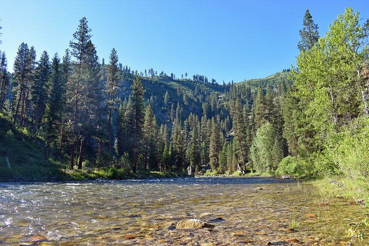 North Fork Boise River at Black Rock Campground