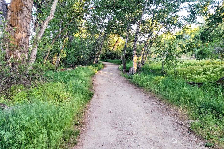 Boise Greenbelt