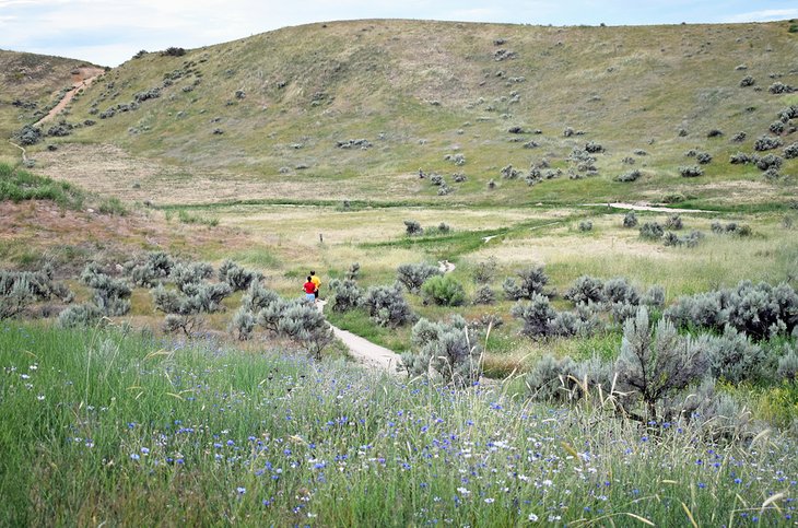 Hillside to Hollow Reserve