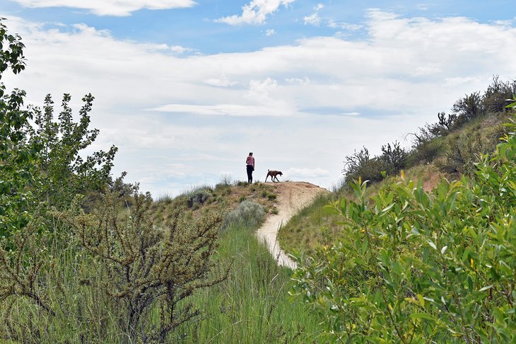 Lower Hulls Gulch #29, Hulls Gulch Reserve