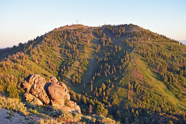 Mores Mountain Interpretive Loop