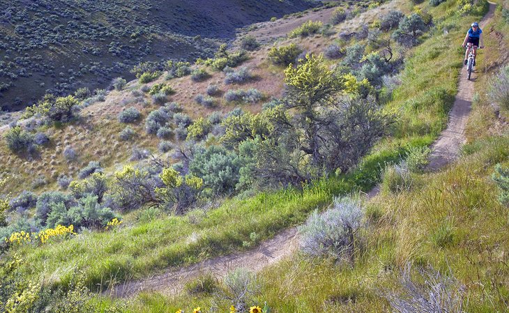 Mountain biker on the Polecat Loop Trail